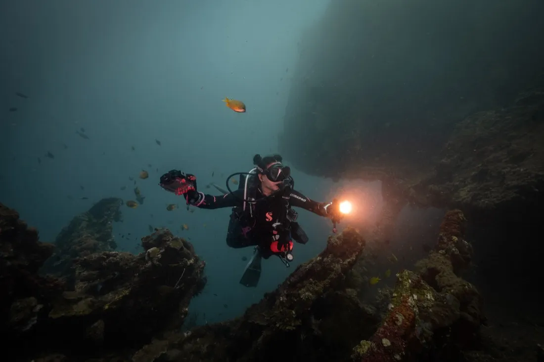 Caro Santamaria diving a shipwreck