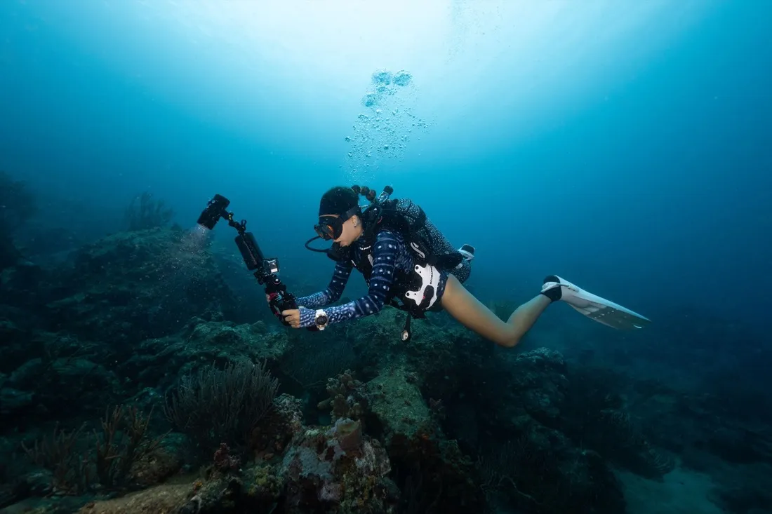 Caro Santamaria diving through a school of fish